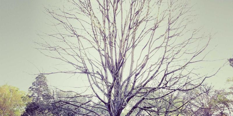 精密制造迈向新纪元：智能制造与自动化产线如何重塑产业未来